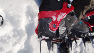 Talonera correctamente ajustada