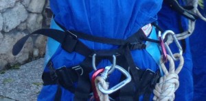 Errores-arnés-original