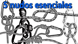 5 nudos esenciales
